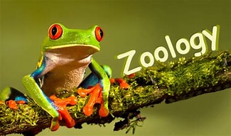 Zoology