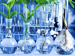 Biotechnology